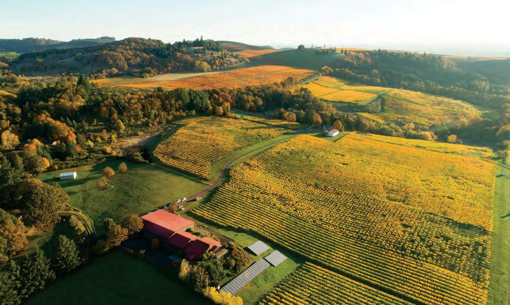 Willamette Valley 2023