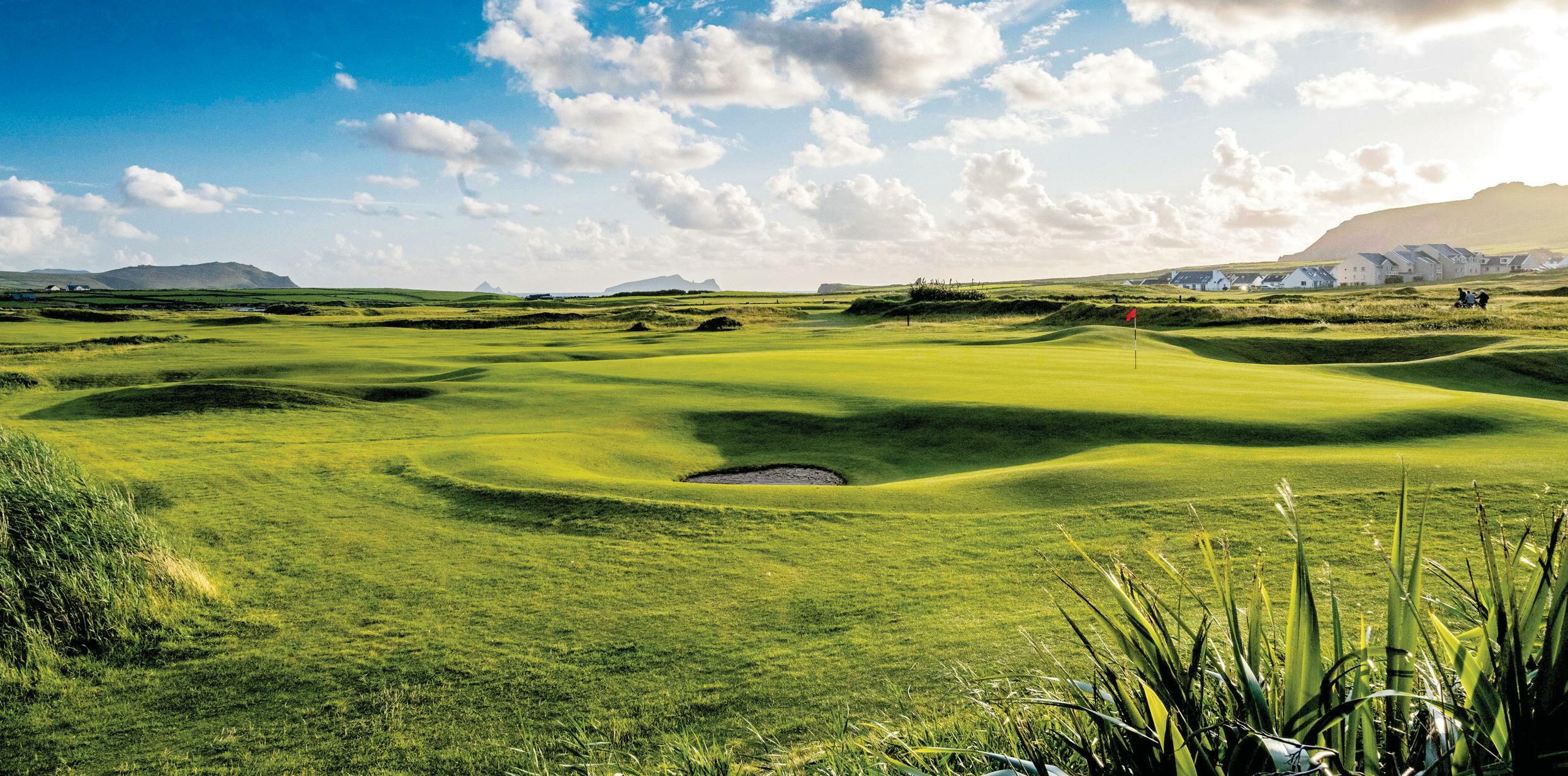 DINGLE LINKS