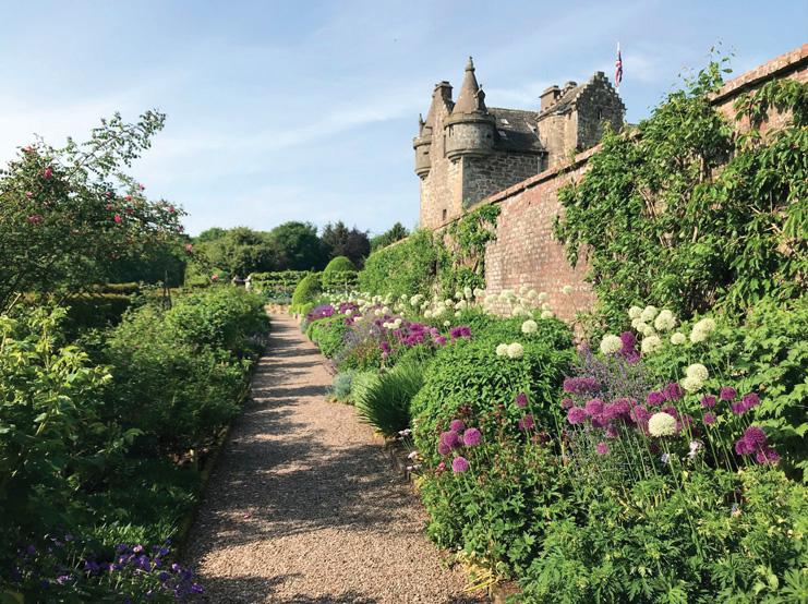 Ferns, battles and strawberry tarts