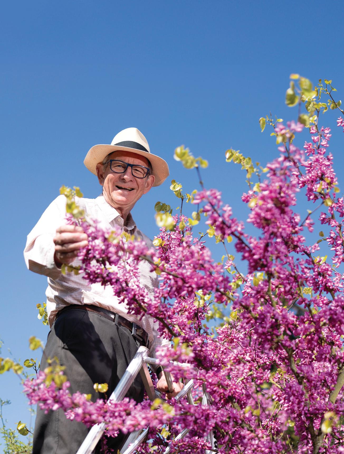Blooming brilliant