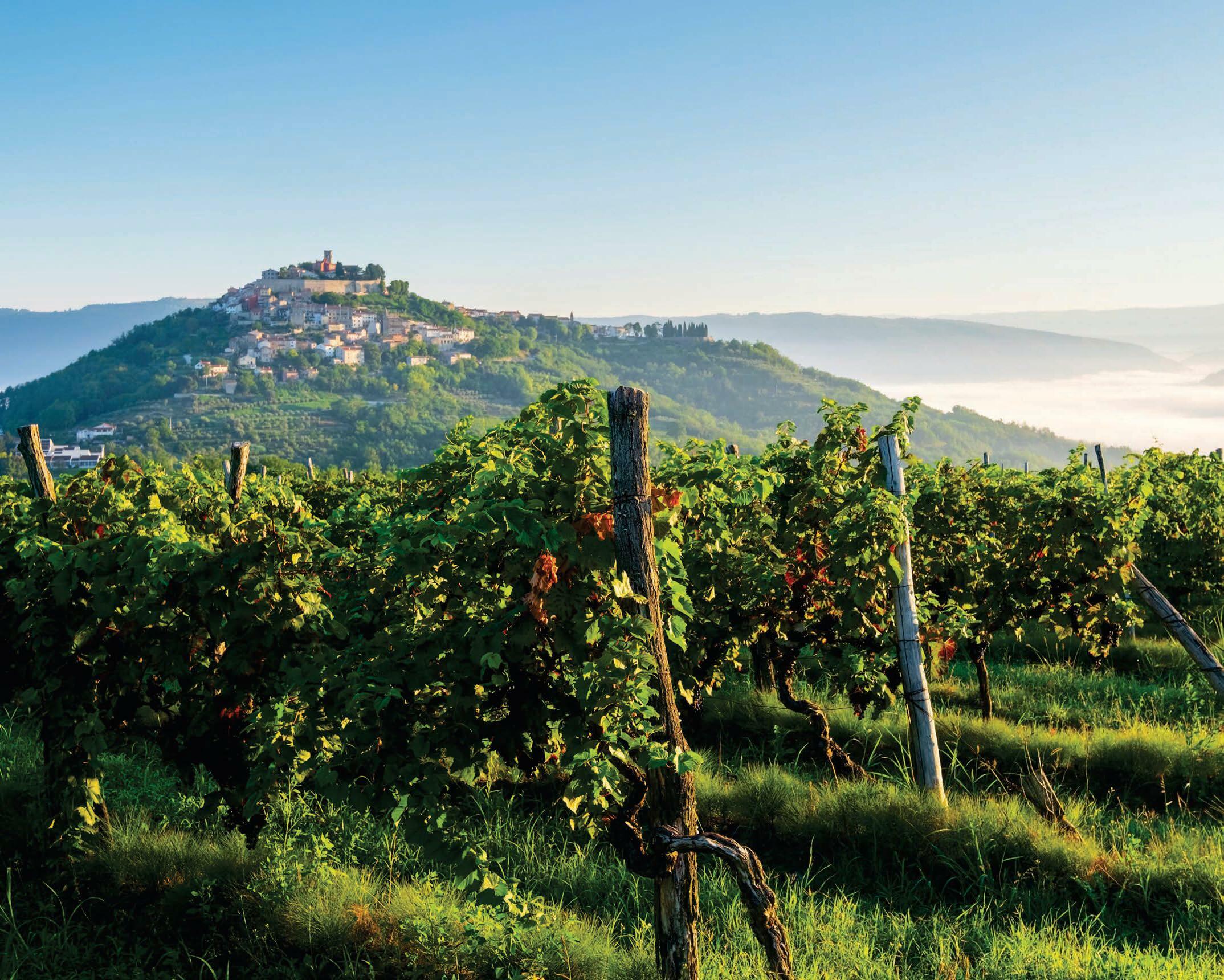 Istria on a plate