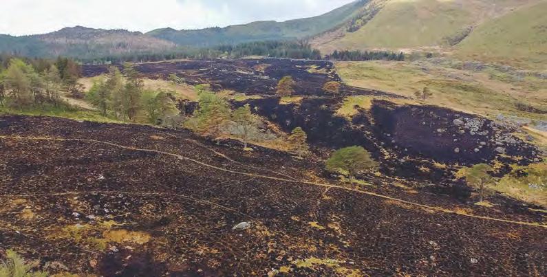 Burning topic causes heated debate
