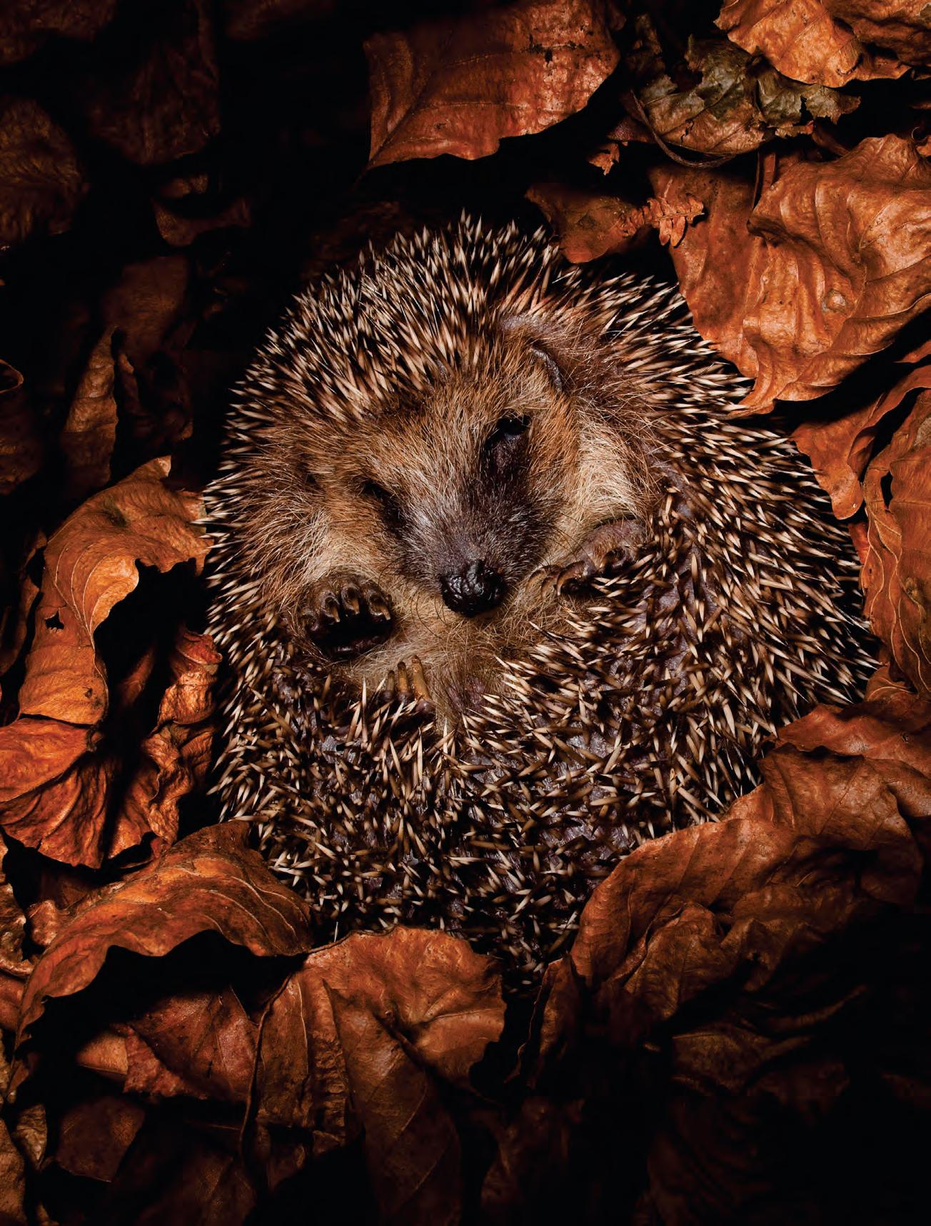 Baby, it's cold outside