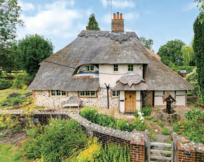 Thatch me if you can