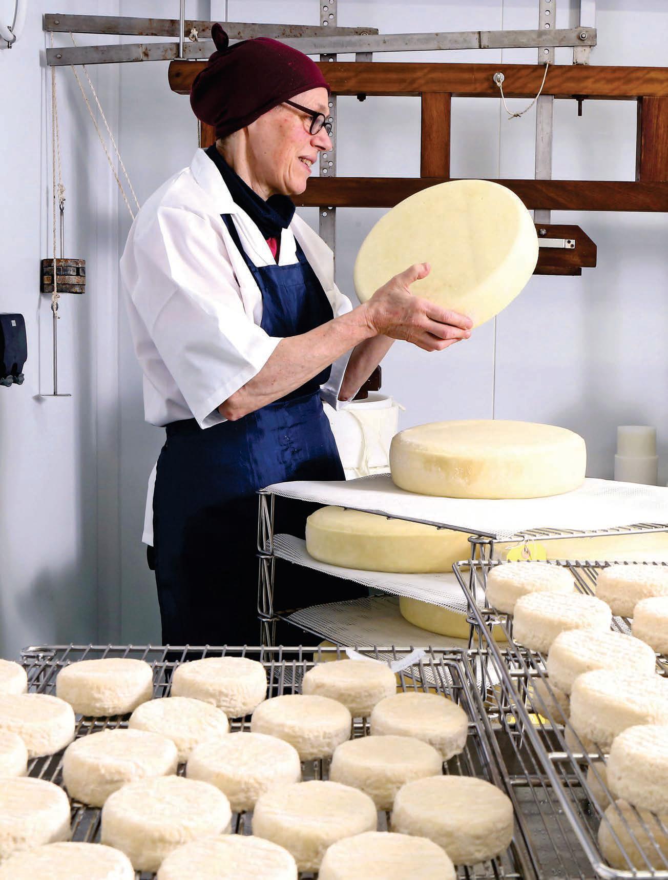 Where there's a will, there's a whey "