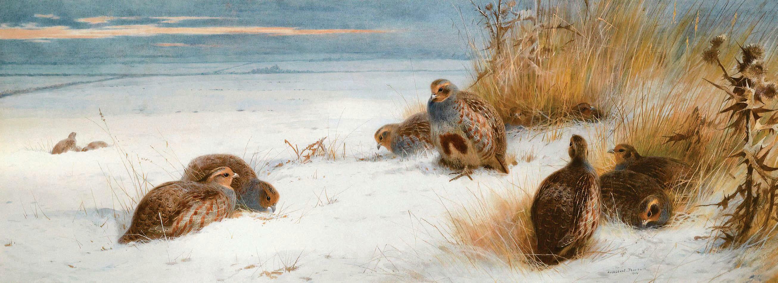 Season's tweetings