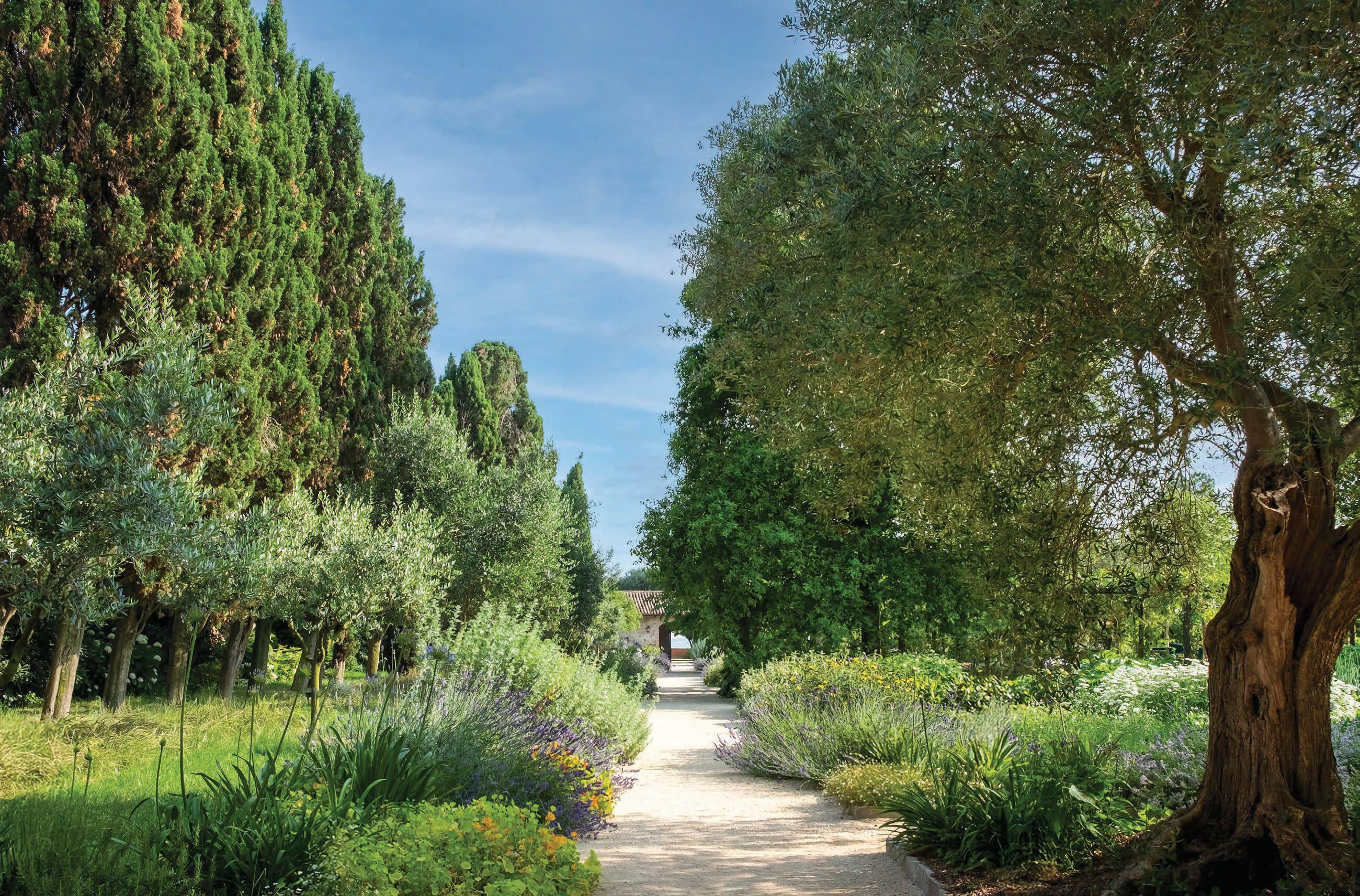 Sacred grounds - The Convent Garden of Il Redentore, Giudecca, Venice, Italy