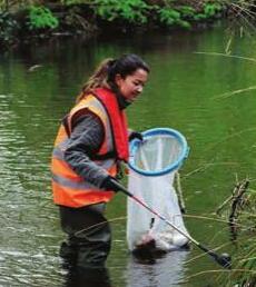 Veterans to restore river