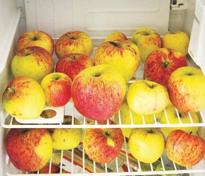 Keep harvests for longer
