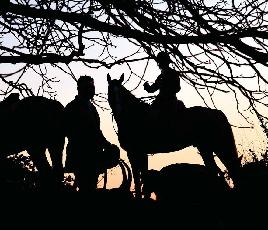 Call for Government to review hunting & legislation