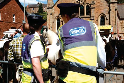 Calls for change on welfare law as current systems are failing