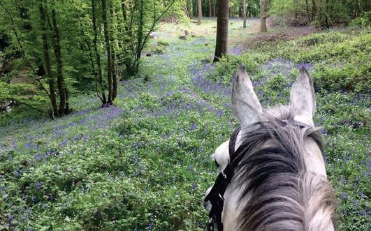 Delight as paid-for riding permits axed