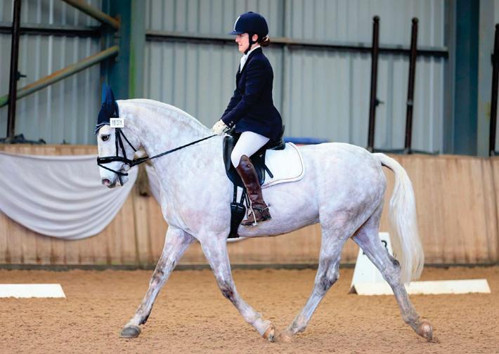 DRESSAGE ON A SHOESTRING