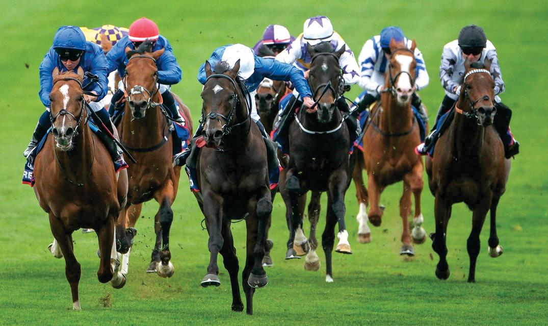 All rise for Ruling Court