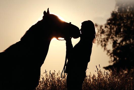 A safe space for rider mental health in the horse world