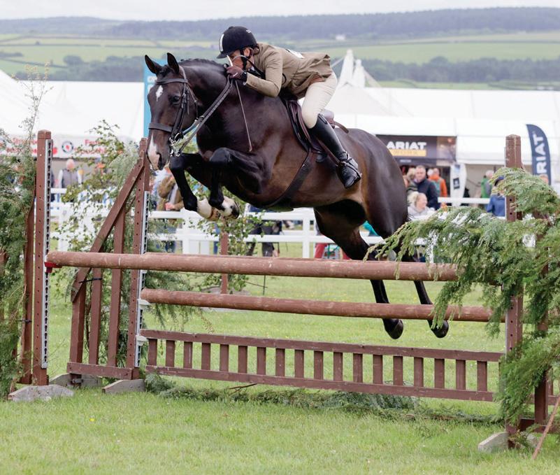 Birdsong is flying high