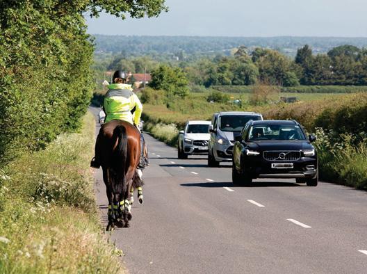Just the start as horse and rider road safety backed in parliament