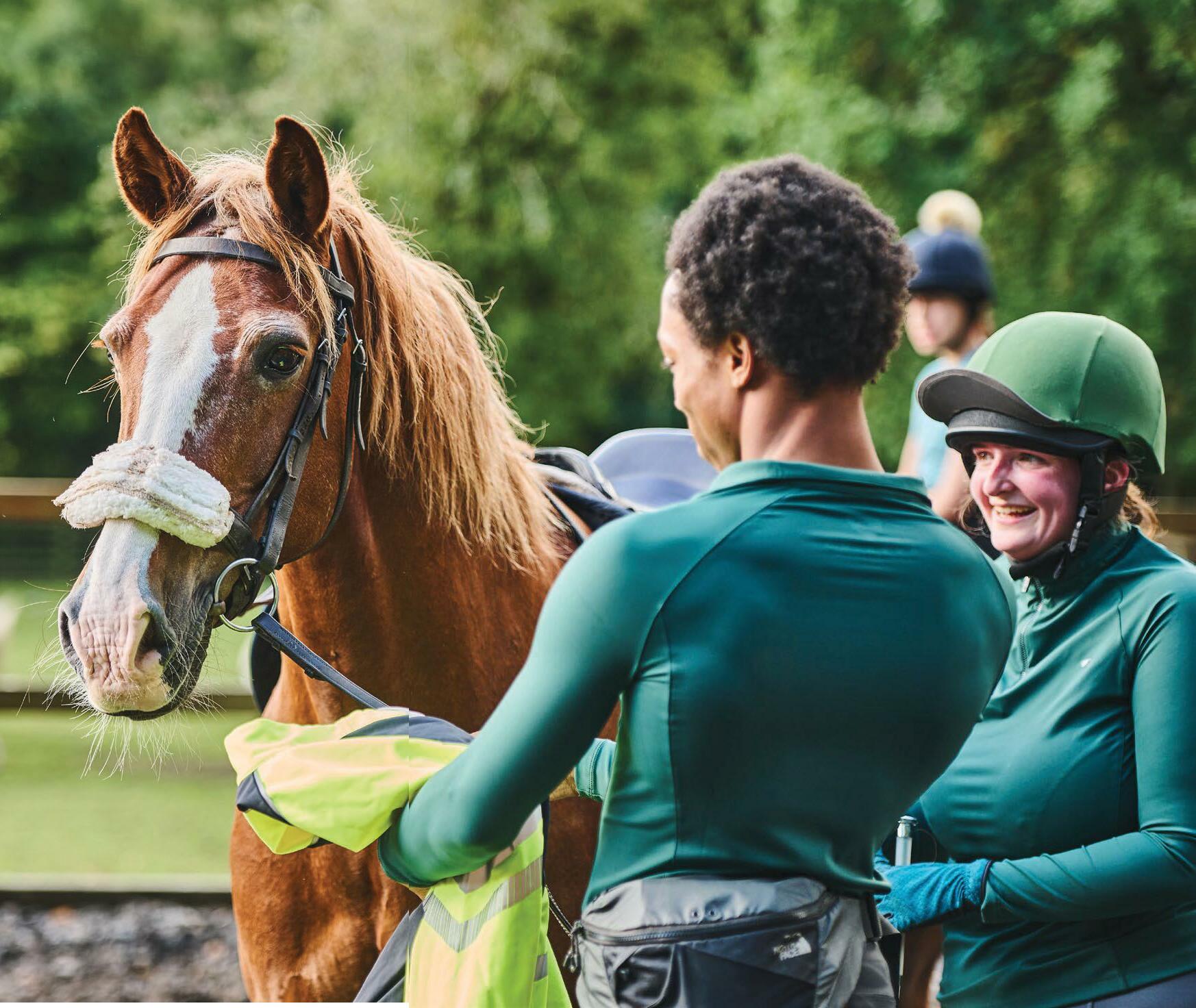 Horse world's challenges and resilience