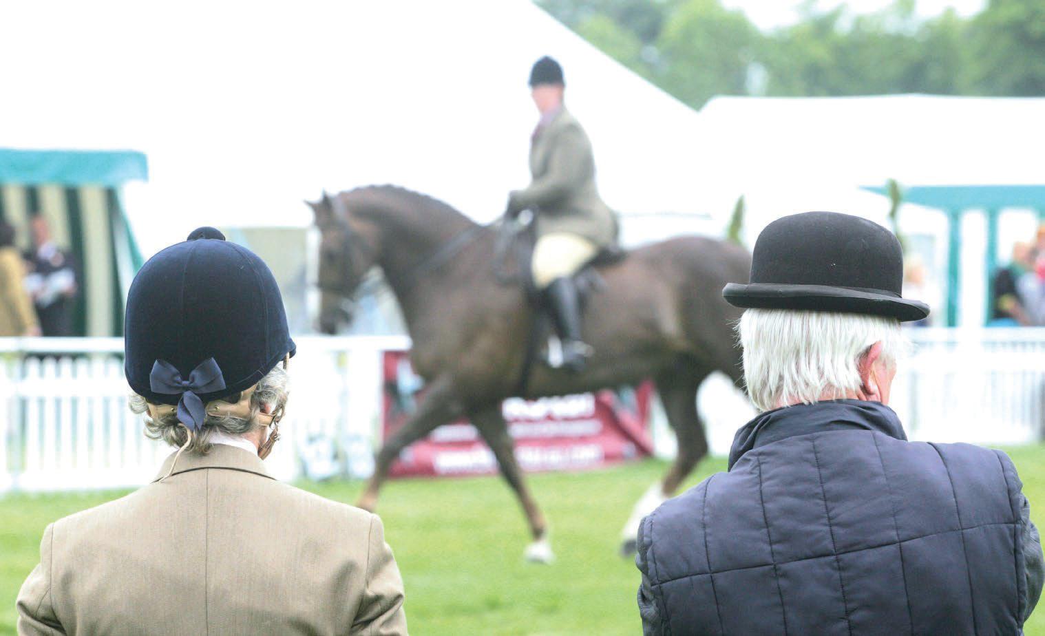 'Competitors must juggle many roles'