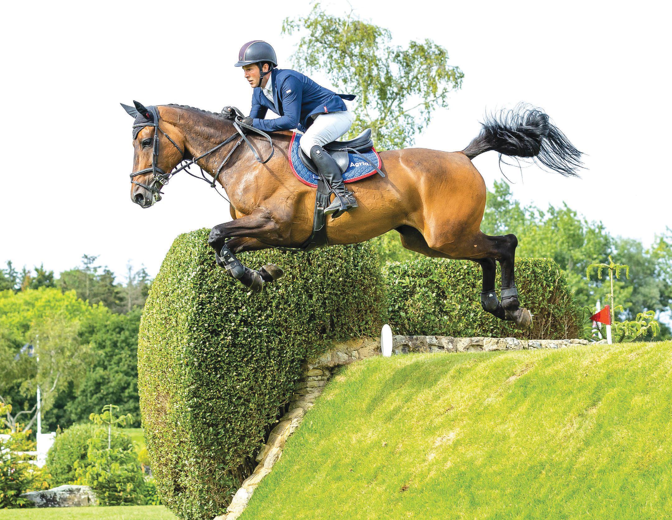 Royale Tale delivers on her dream debut
