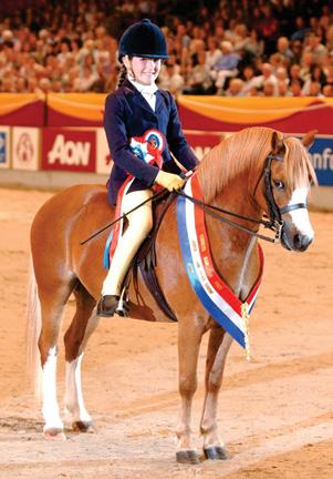 Horses that made me