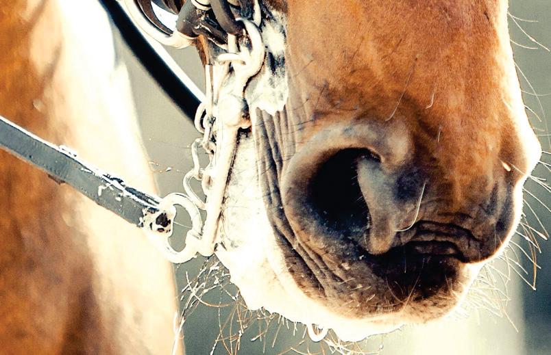 Emergency rule change bans use of 'unnatural' mouth foam