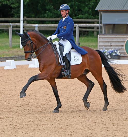 'Dressage prize money doesn't match up'