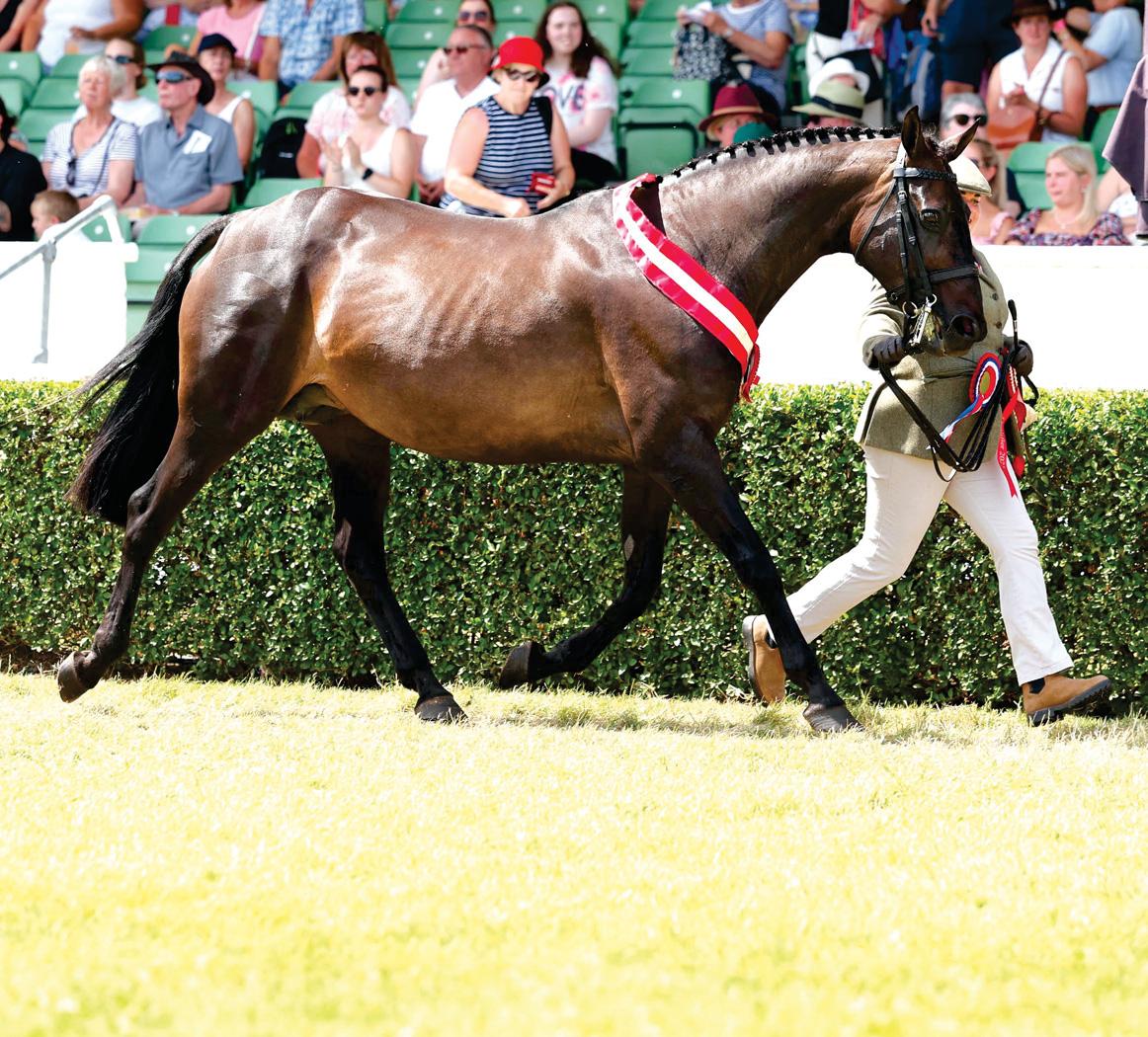 Kings Mistress is Queen of Yorkshire