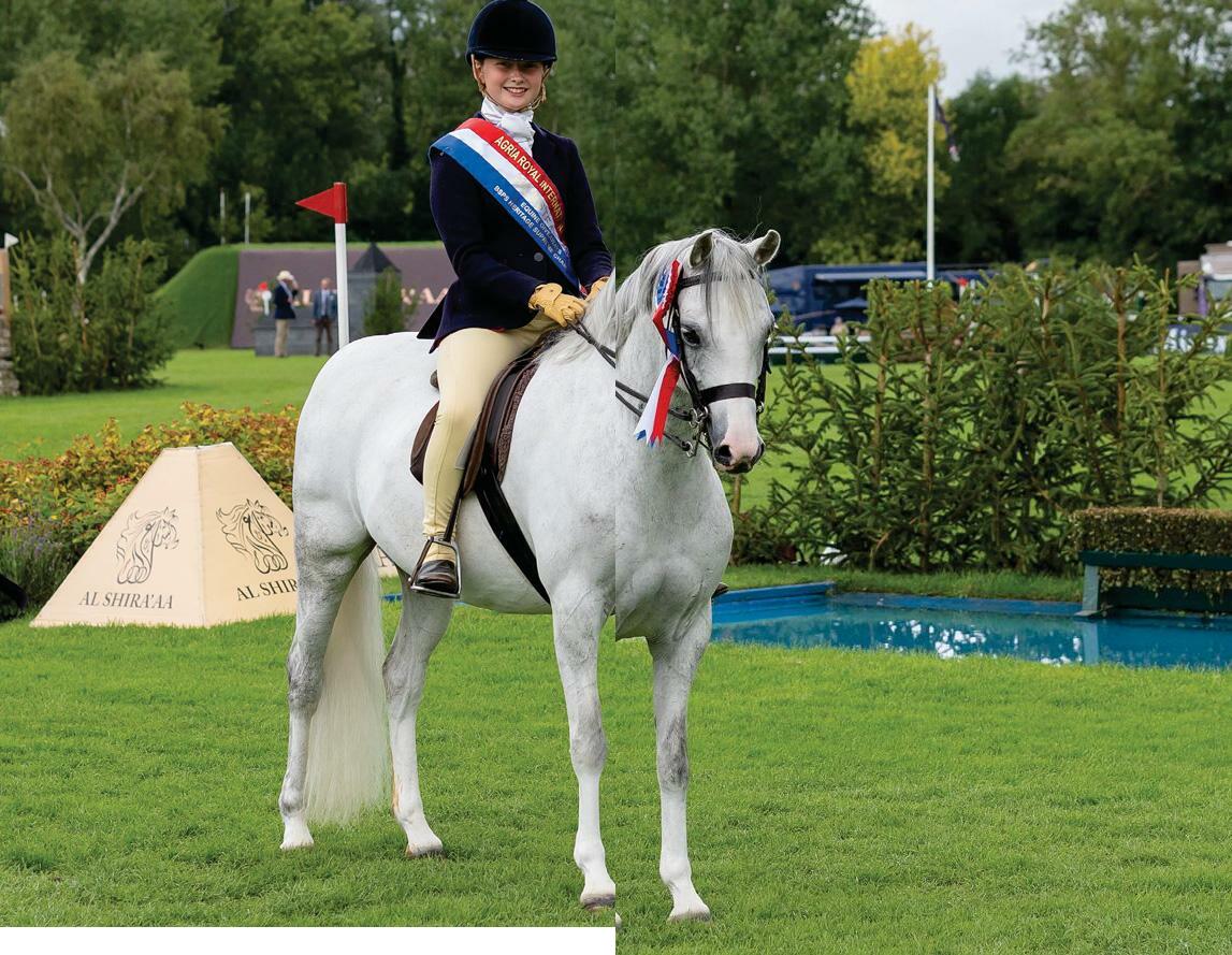 Perlina charms for champion
