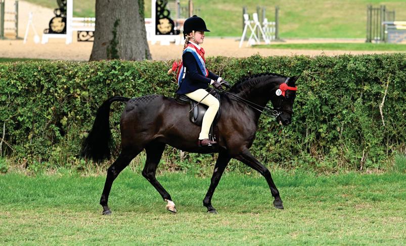 Temptation irresistible for senior supreme