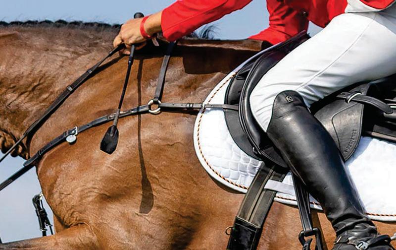 Blood rules a focus in jumping and new whip rule proposed