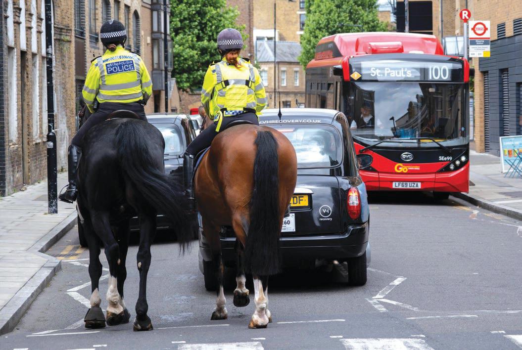 Police horses and stables to be lost in budget cuts