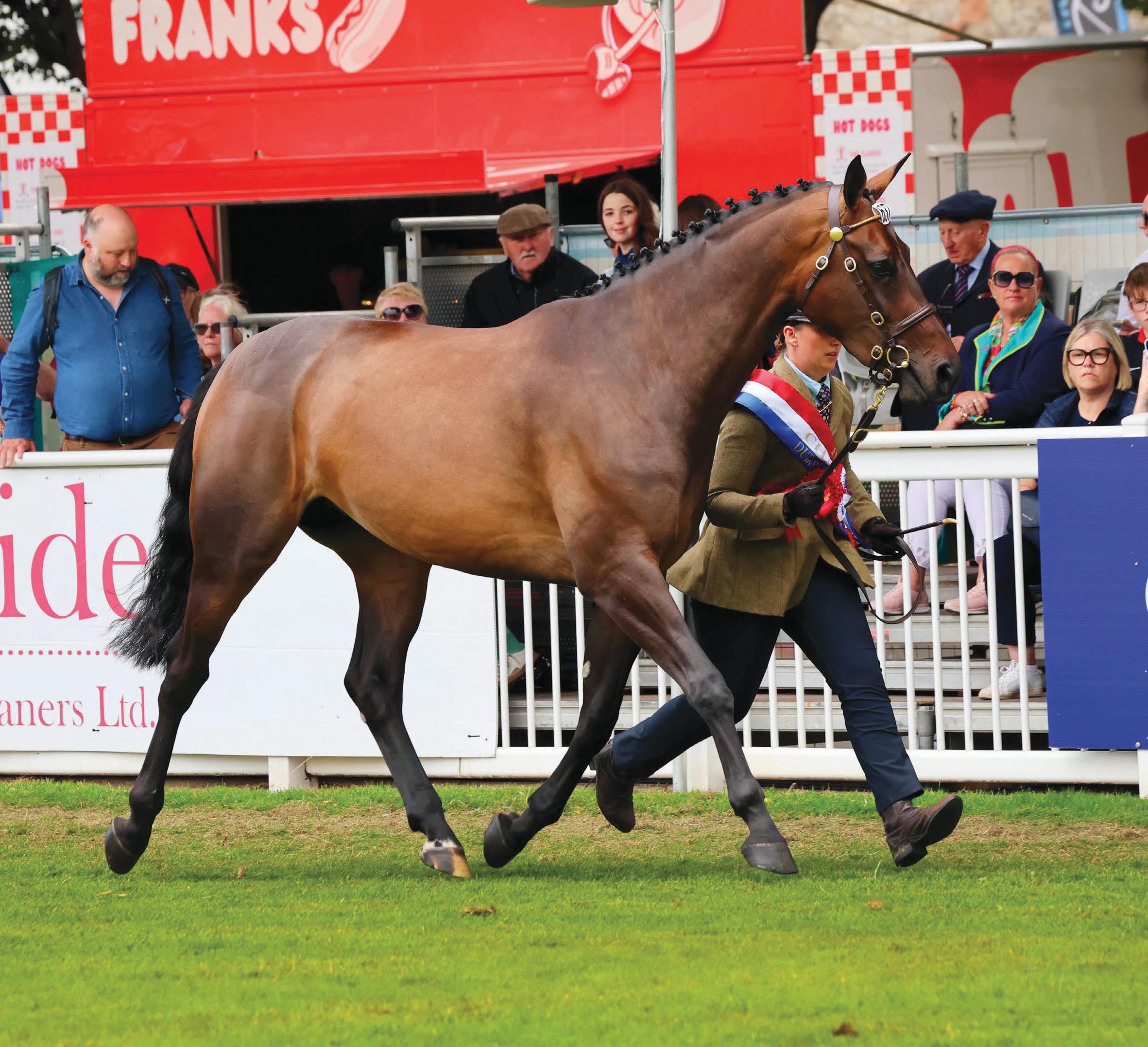 Lady leads the field