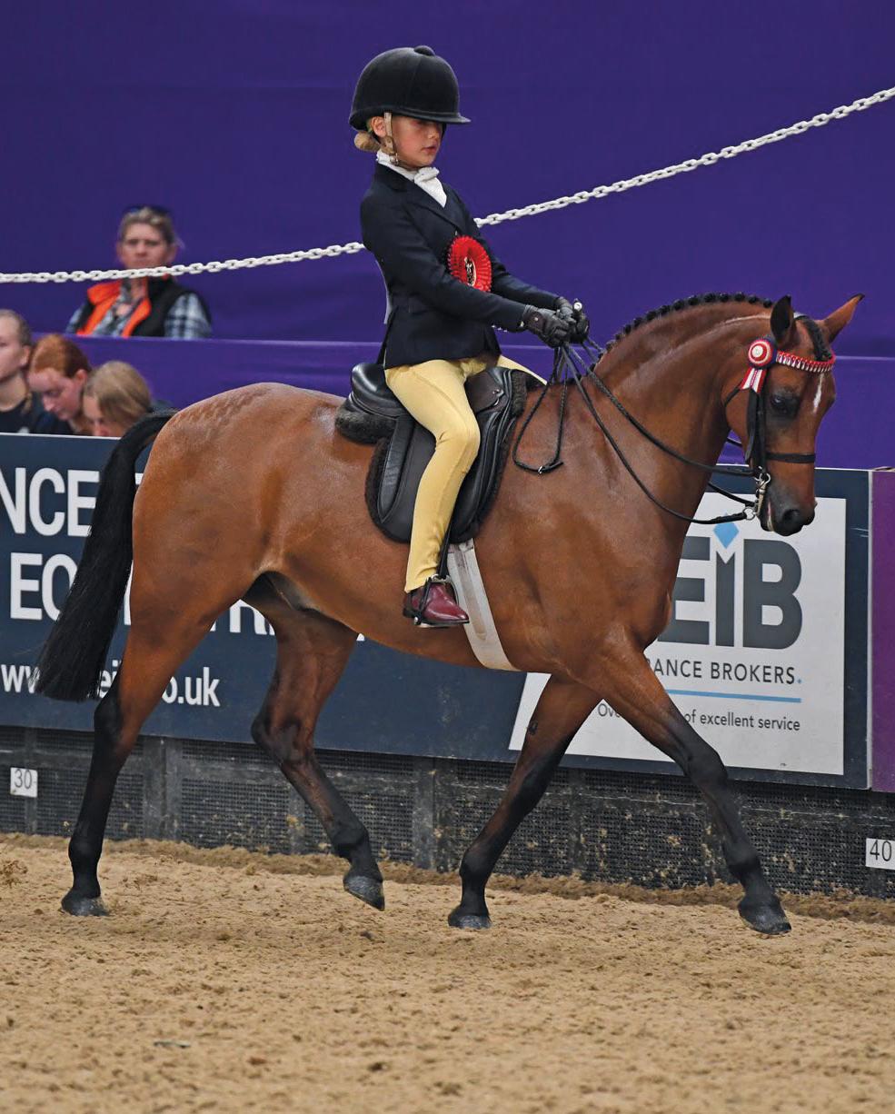 I want to give my riders confidence'