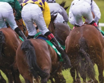 The professionals perception of risk in horseracing