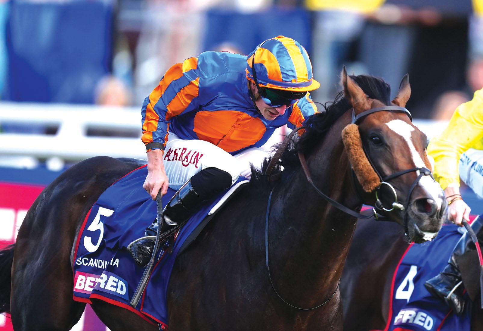 Ice-cool Scandinavia is St Leger hero