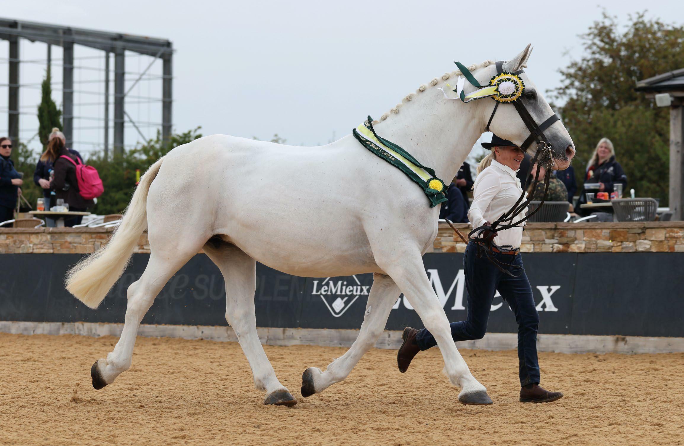 Supreme glory for Abbey