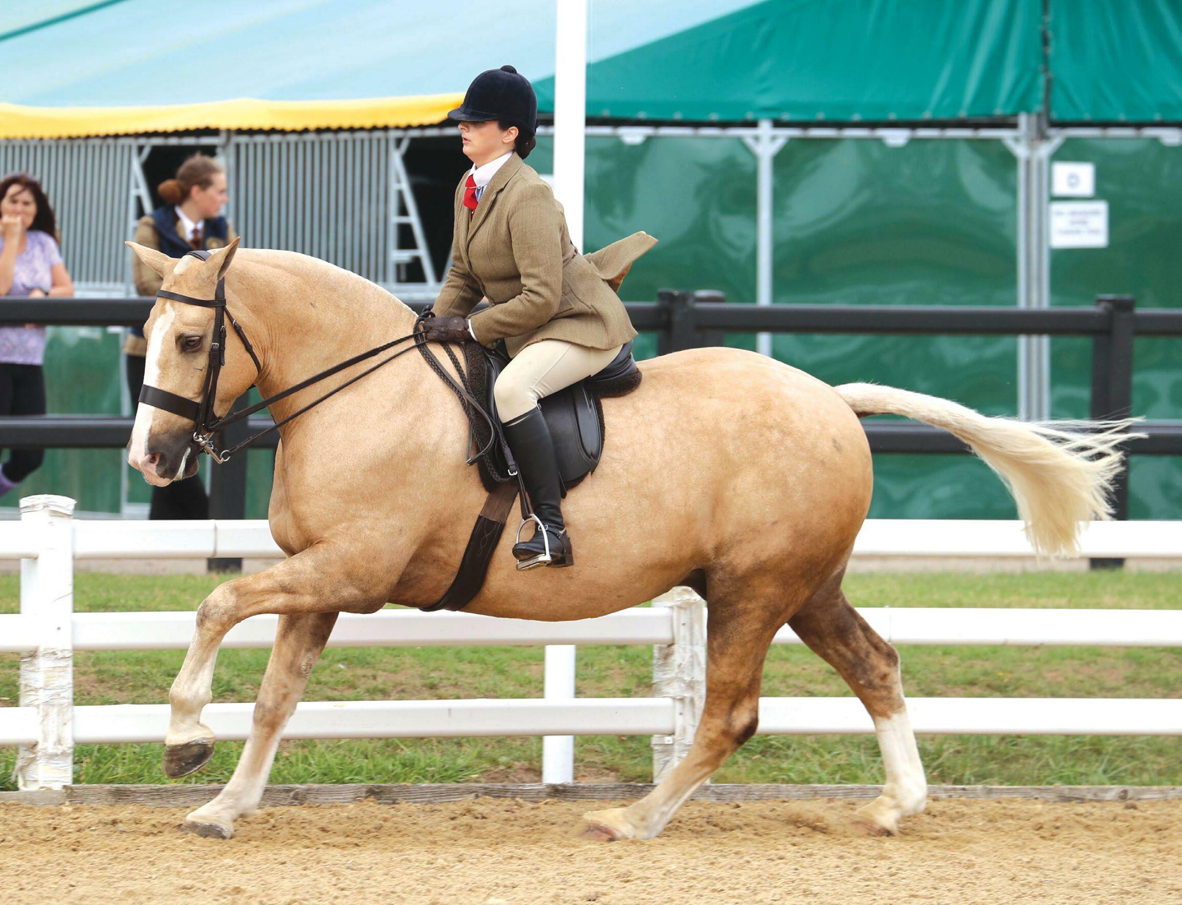 Henry goes for gold