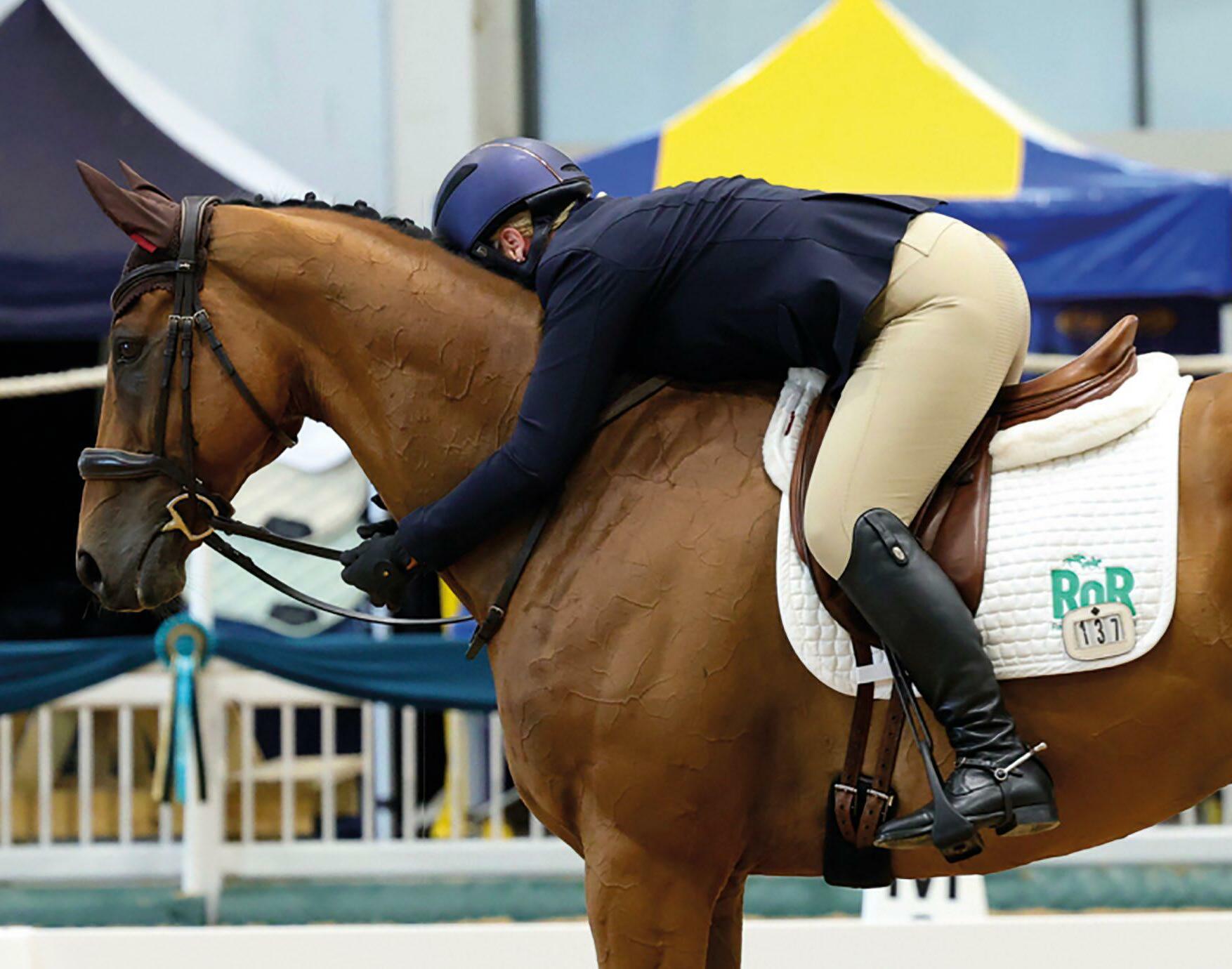 New schemes to help connect the dots once horses leave racing