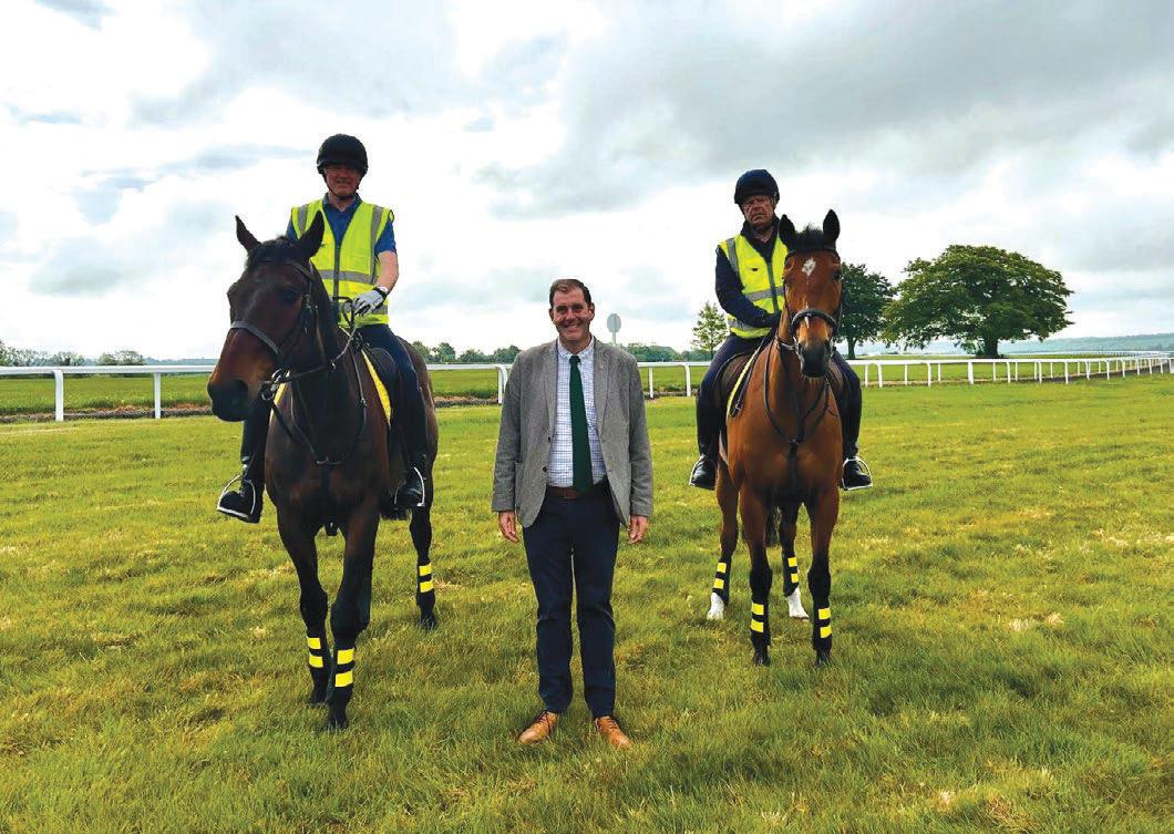 New parliament proposal part of plans to keep horses safe on roads