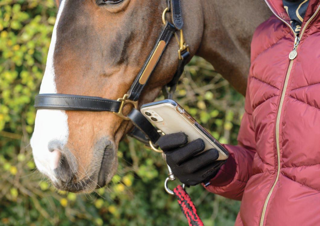 Horse buyers and sellers warned of unintended phone contracts