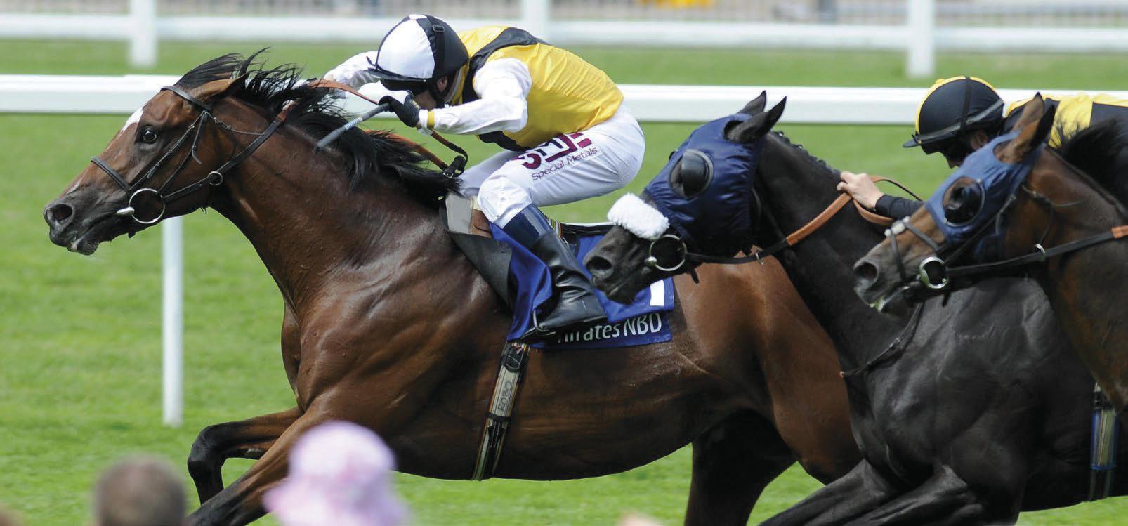 Looking outward - and inward - to help racing thrive in future