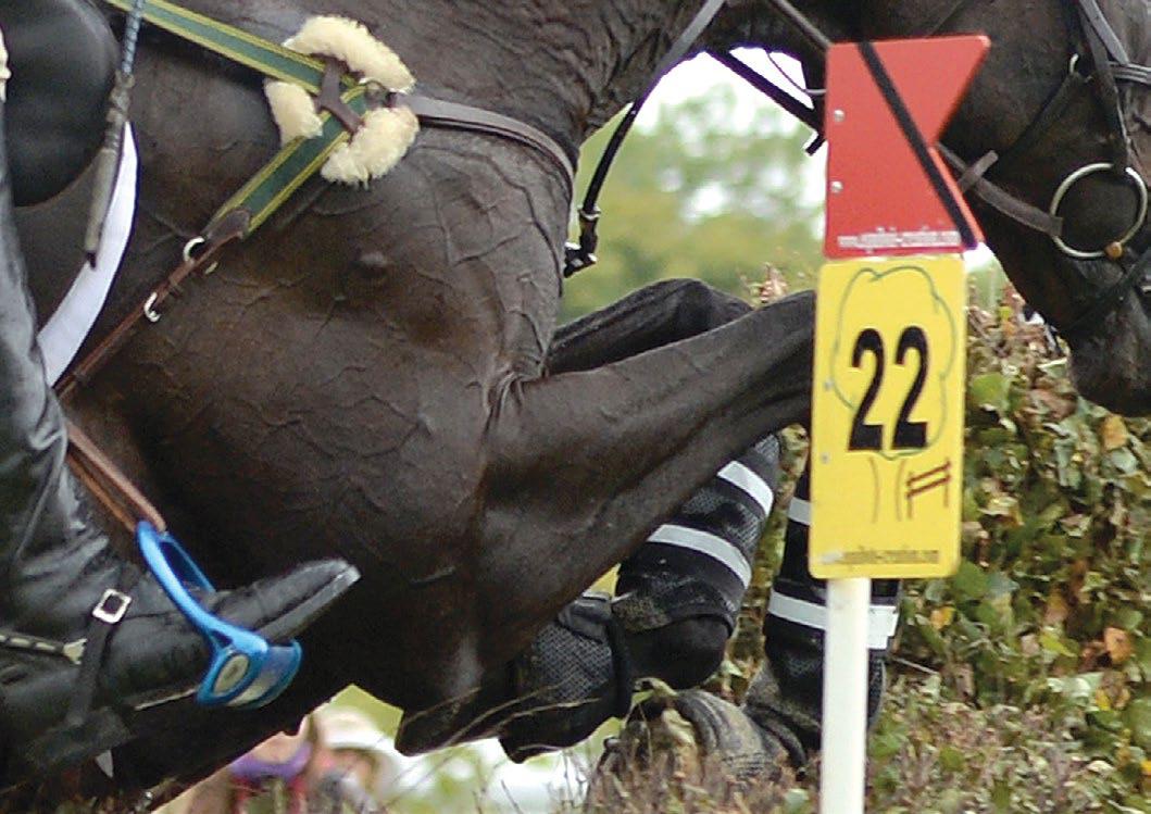 Changes to flag penalties and double bridle rules proposed