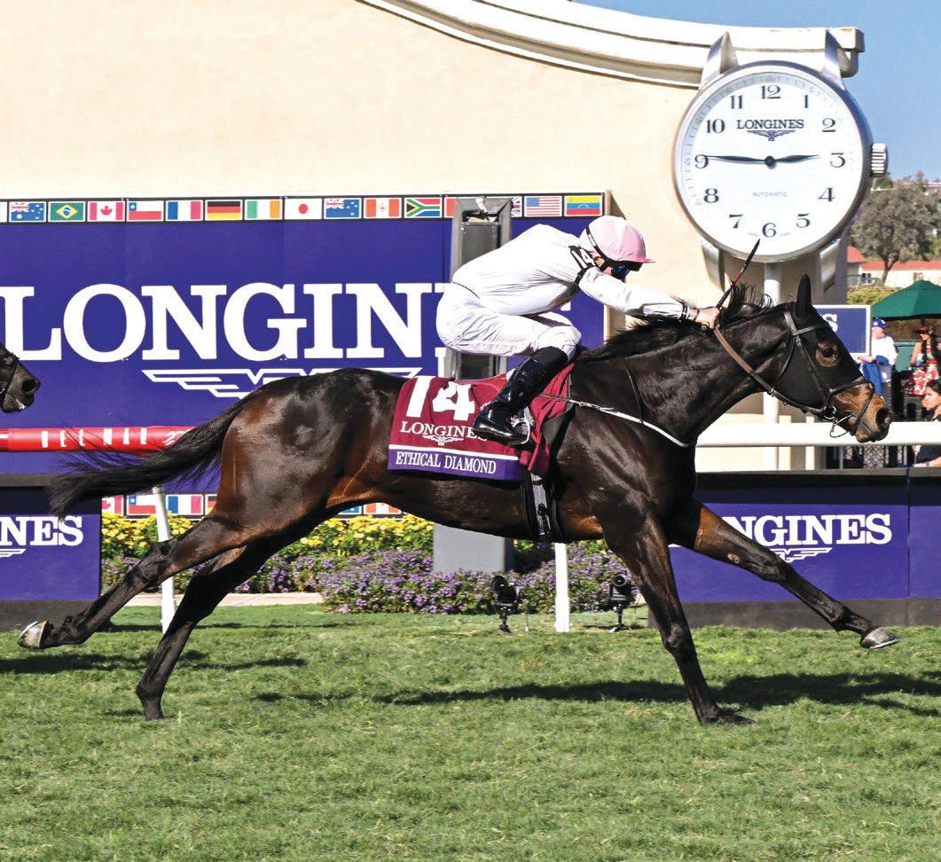 A Diamond in the rough