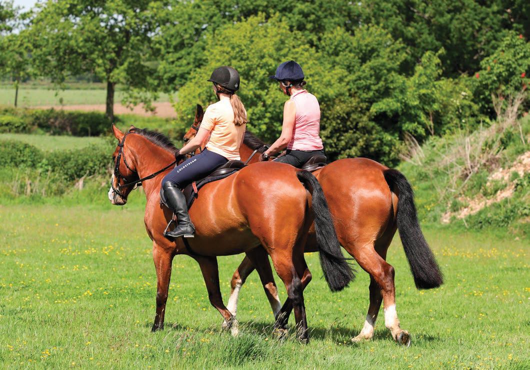 Equestrian access strategy may inspire other councils