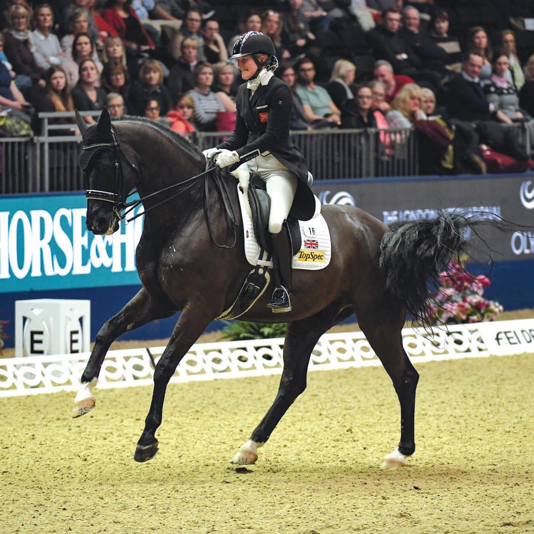 Farewell to a champion who was rider's best friend