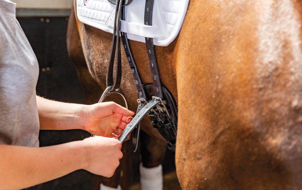 How tack and equipment design can help improve horses lives
