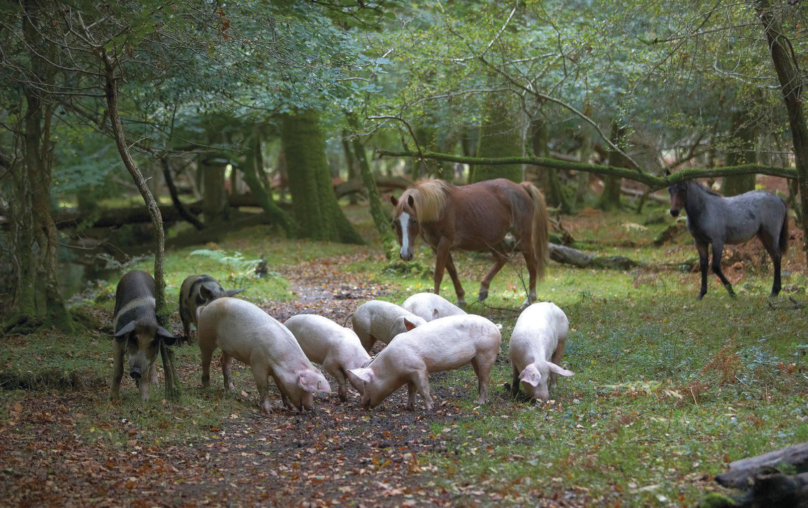 Autumn alerts