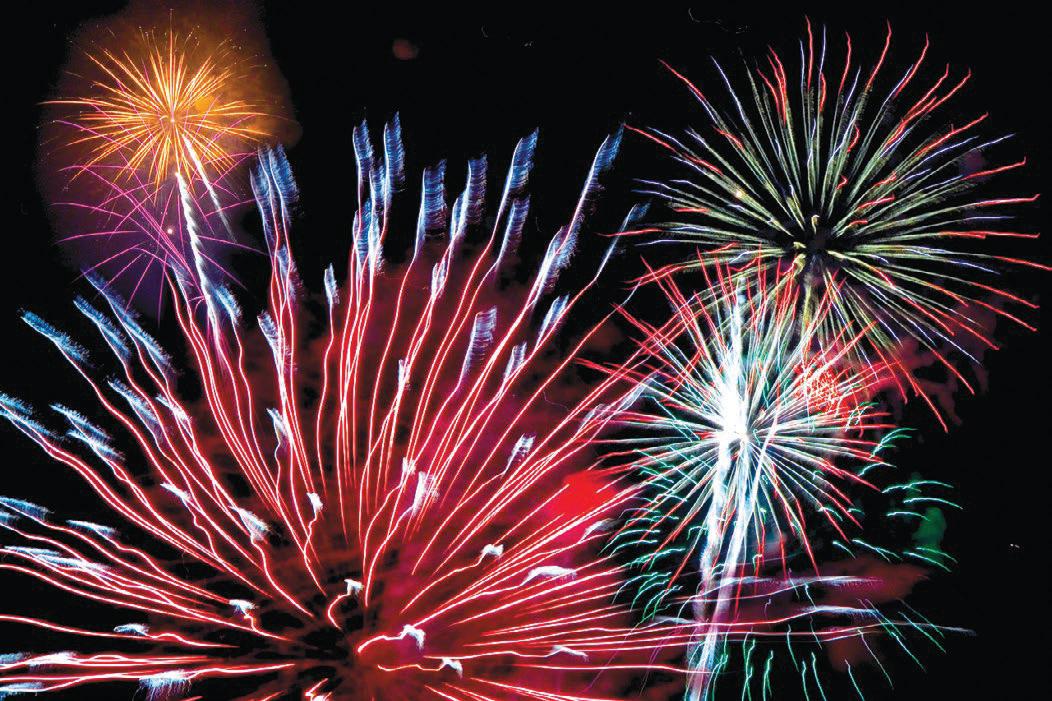 Pet company boss's apology for fireworks after horse's death