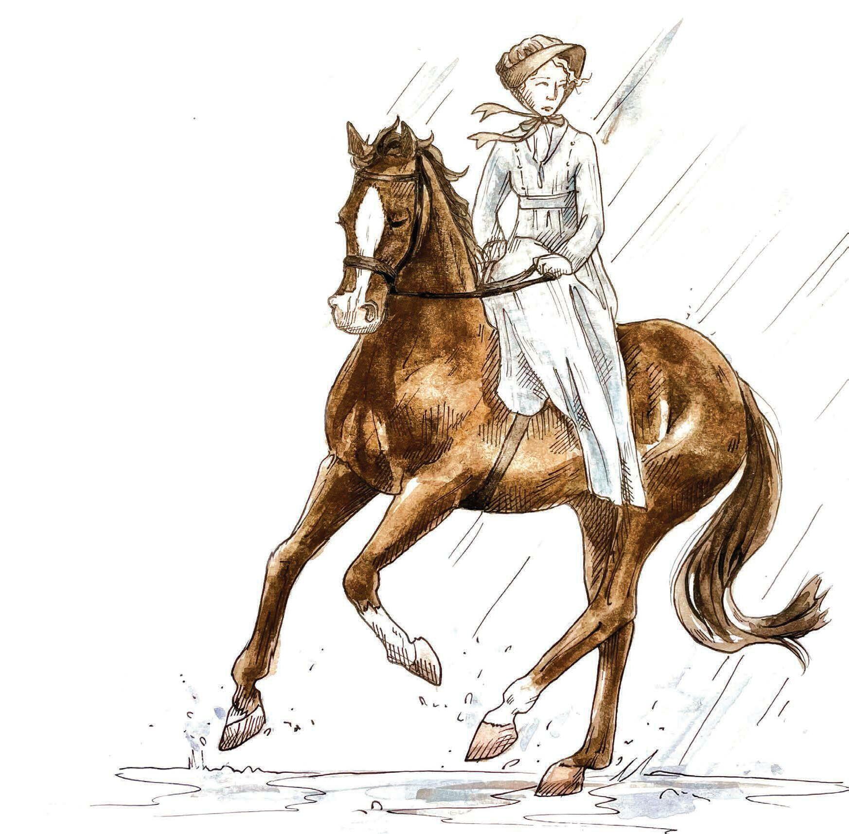 'You had better go on horseback'